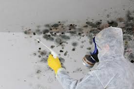 Best Air Quality Testing for Mold Spores  in Manorhaven, NY